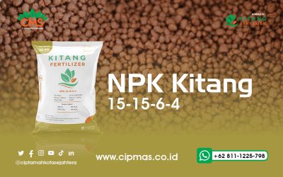 Kitang Fertilizer NPK 15-15-6-4