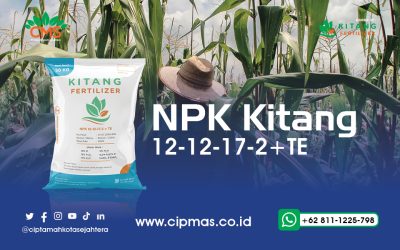 Kitang Fertilizer NPK 12-12-17-2+ TE