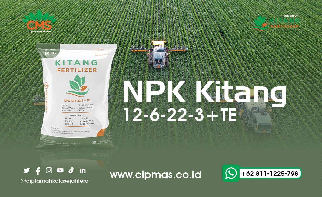 Kitang Fertilizer NPK 12-6-22-3 + TE