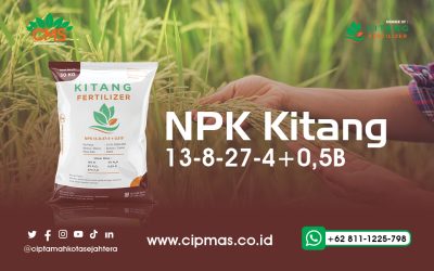 Kitang Fertilizer NPK 13-8-27-4 + 0,5 B